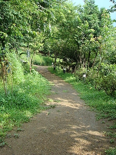 【三峽】花岩山林民宿花園餐廳
