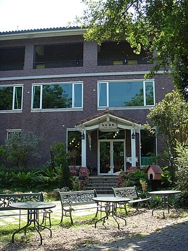 【大溪】河岸森林〈景觀〉 - 第9張圖 【大溪】河岸森林〈景觀〉