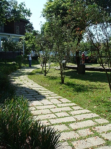 【大溪】河岸森林〈景觀〉 - 第11張圖 【大溪】河岸森林〈景觀〉