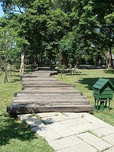 【大溪】河岸森林〈景觀〉 - 第12張圖 【大溪】河岸森林〈景觀〉