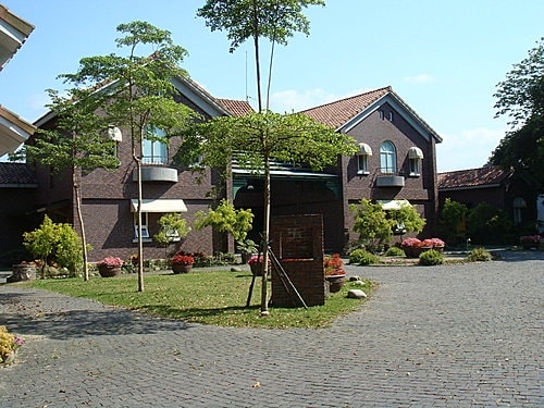 【大溪】河岸森林〈景觀〉 - 第16張圖 【大溪】河岸森林〈景觀〉