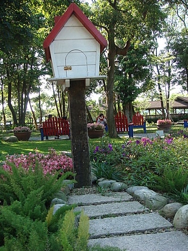 【大溪】河岸森林〈景觀〉 - 第22張圖 【大溪】河岸森林〈景觀〉