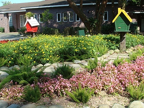 【大溪】河岸森林〈景觀〉 - 第23張圖 【大溪】河岸森林〈景觀〉