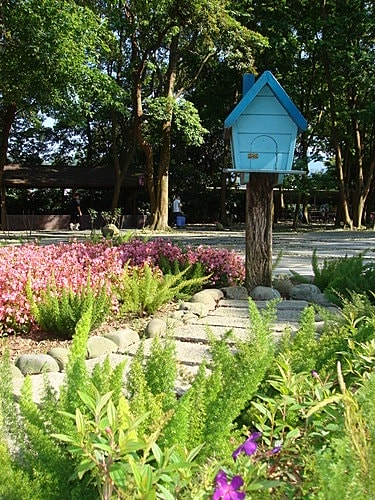 【大溪】河岸森林〈景觀〉 - 第24張圖 【大溪】河岸森林〈景觀〉