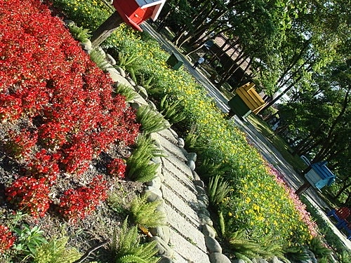 【大溪】河岸森林〈景觀〉 - 第26張圖 【大溪】河岸森林〈景觀〉