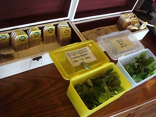 【大溪】河岸森林〈美食〉 - 第10張圖 【大溪】河岸森林〈美食〉