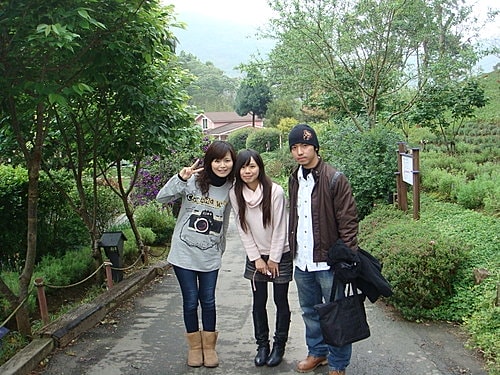 【新竹】薰衣草森林 - 第12張圖 【新竹】薰衣草森林