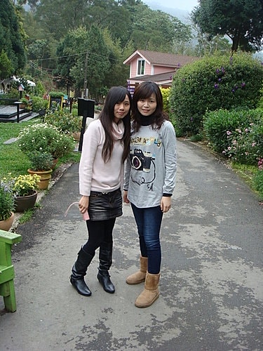 【新竹】薰衣草森林 - 第9張圖 【新竹】薰衣草森林