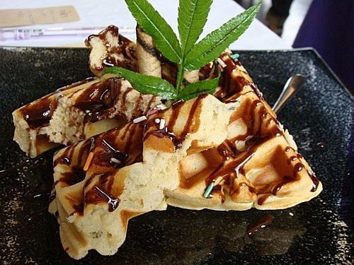 【新竹】薰衣草森林─下午茶