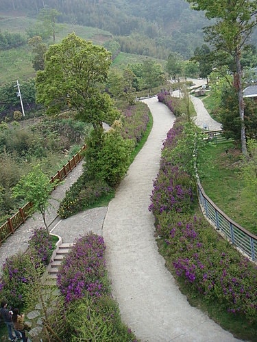 【新竹】數碼天空 - 第19張圖 【新竹】數碼天空