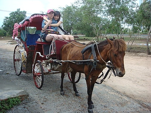 【泰國】大自然趣味之旅+東芭樂園+七珍佛山
