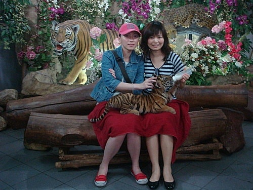 【泰國】野生動物園+龍虎園