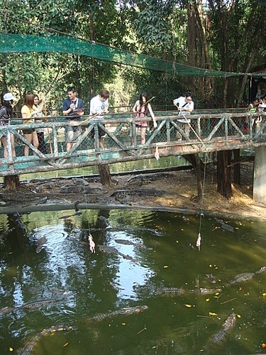【泰國】野生動物園+龍虎園
