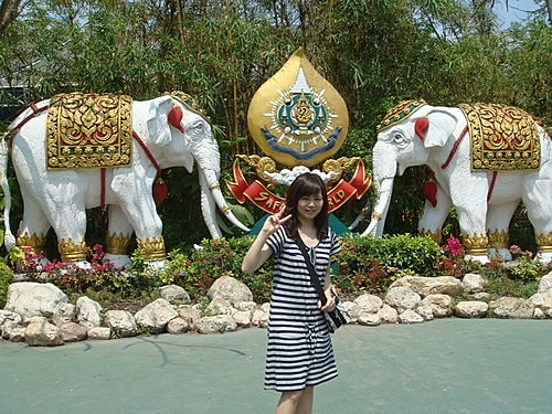 【泰國】賽福瑞海洋世界