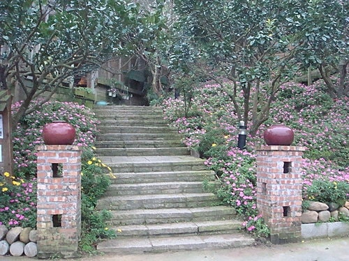 【八里】Doris桃樂絲的家