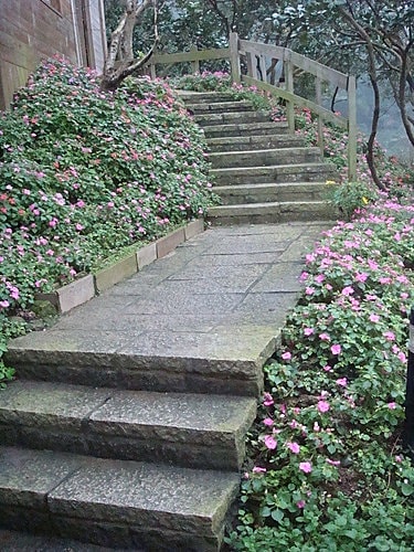 【八里】Doris桃樂絲的家