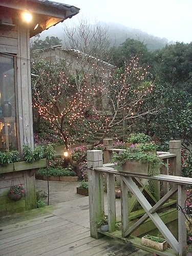 【八里】Doris桃樂絲的家