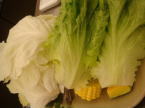 【桃園】錢都日式涮涮鍋