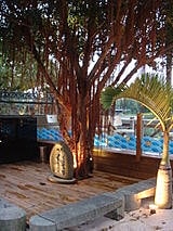 【平鎮】蝦客下午茶 - 第69張圖 【平鎮】蝦客下午茶