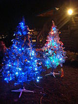 【桃園】星海之戀之夜景