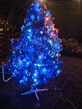 【桃園】星海之戀之夜景