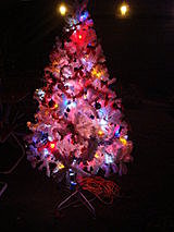 【桃園】星海之戀之夜景