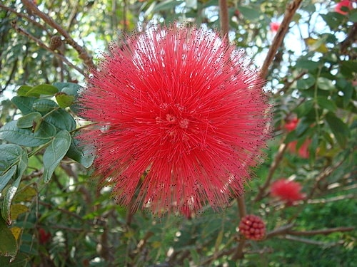 員工旅遊─飛牛牧場