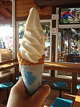 員工旅遊─飛牛牧場