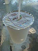 員工旅遊─飛牛牧場