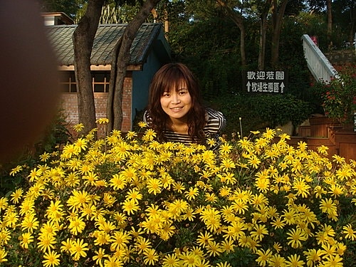 員工旅遊─飛牛牧場