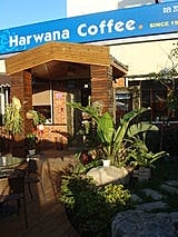 【楊梅】哈瓦那咖啡