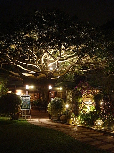 【楊梅】鄉巴佬咖啡 - 第4張圖 【楊梅】鄉巴佬咖啡