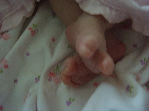 【中壢】麻布茶房 - 第16張圖 【中壢】麻布茶房