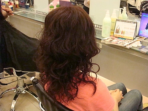 燙頭髮嘍 - 第15張圖 燙頭髮嘍