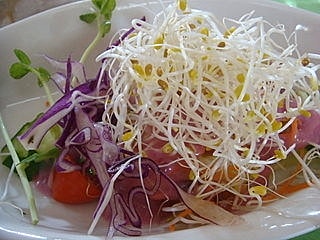 【龍潭】藍月莊園 - 第7張圖 【龍潭】藍月莊園