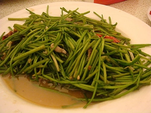 【新屋】966餐廳 - 第17張圖 【新屋】966餐廳