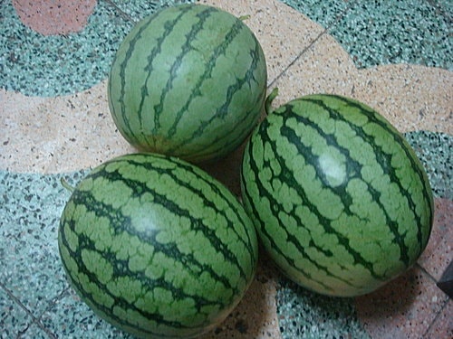 海邊散步 - 第12張圖 海邊散步