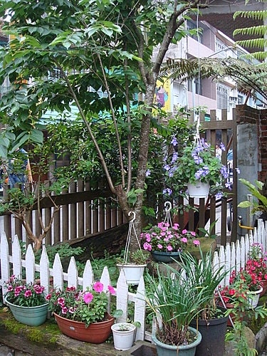 【新竹】內灣老街