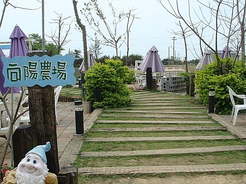 【觀音】向陽農場 - 第11張圖