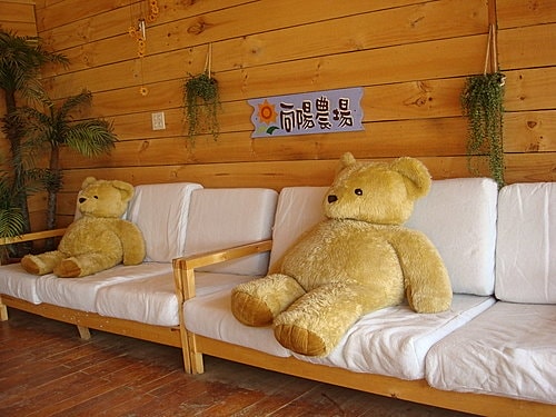 【觀音】向陽農場 - 第13張圖