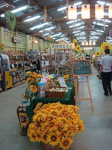 【觀音】向陽農場 - 第18張圖