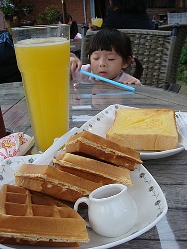 【木柵】坐貓纜嘍 - 第9張圖 【木柵】坐貓纜嘍