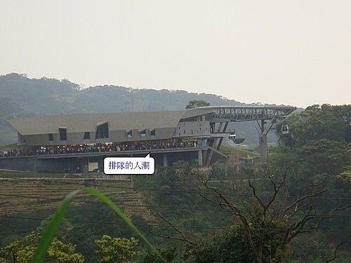 【木柵】坐貓纜嘍 - 第13張圖 【木柵】坐貓纜嘍