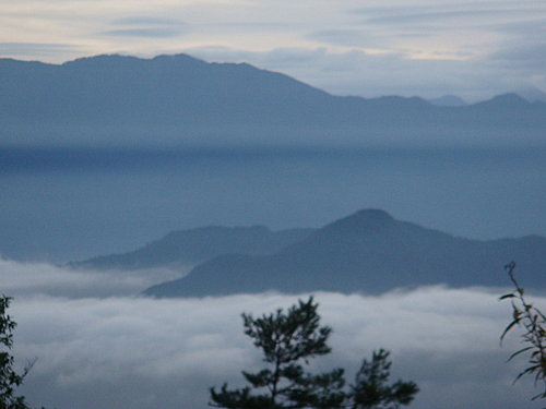 阿里山之行 - 第4張圖 阿里山之行