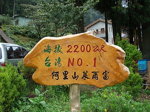 阿里山之行 - 第7張圖 阿里山之行