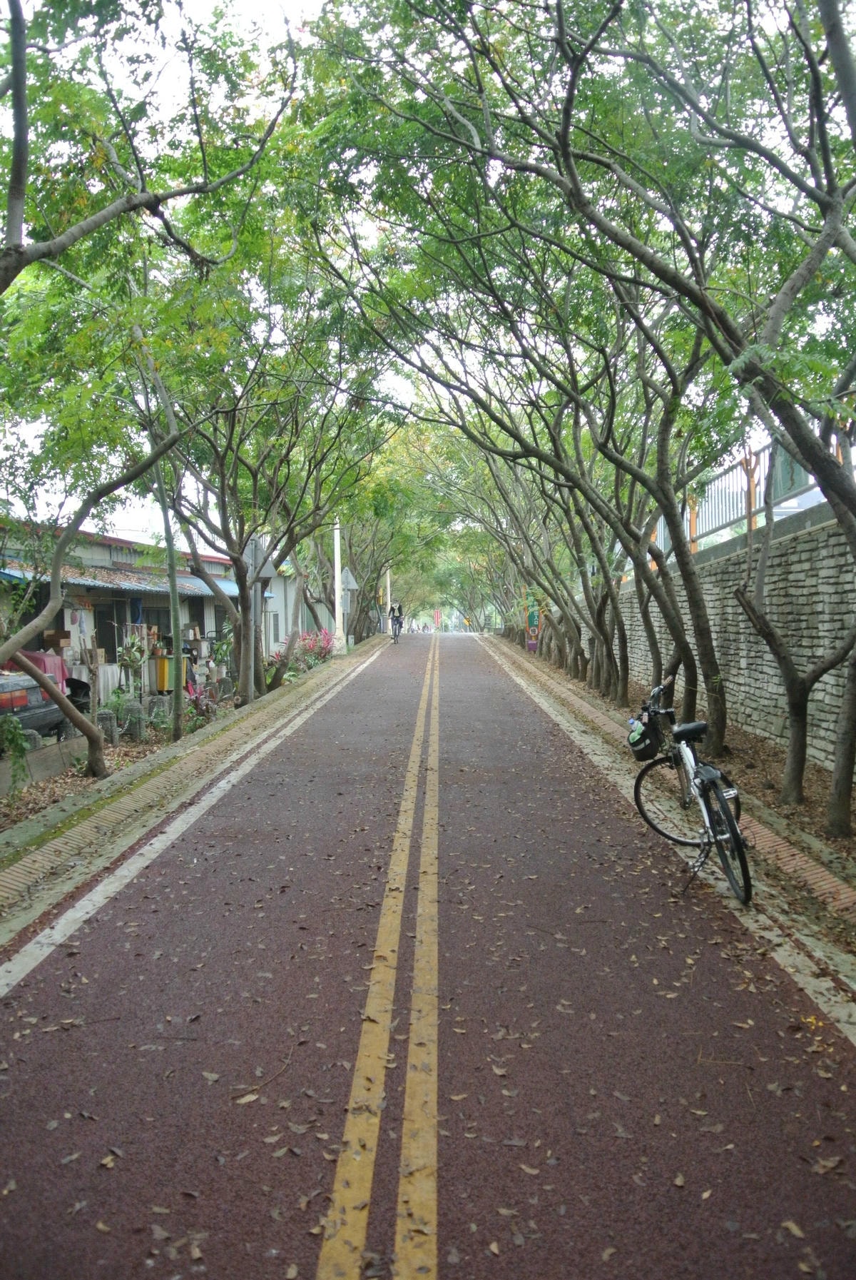 DSC_1812.JPG