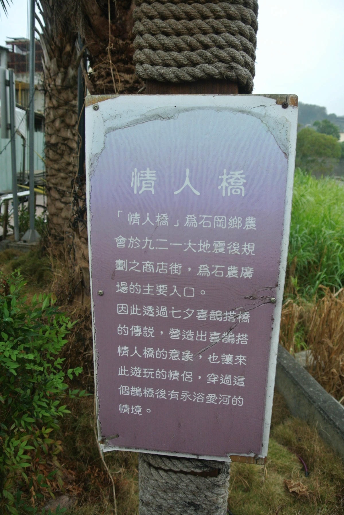 DSC_1827.JPG