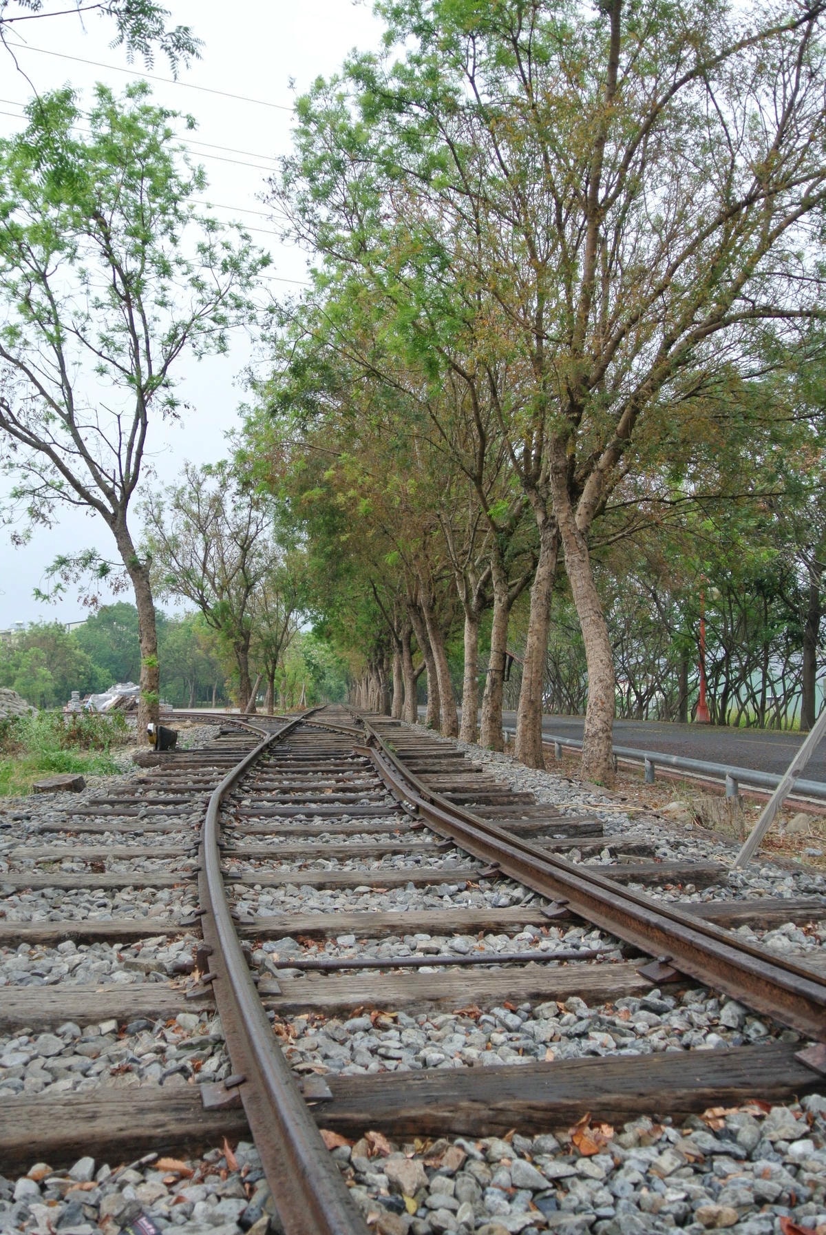 DSC_1789.JPG