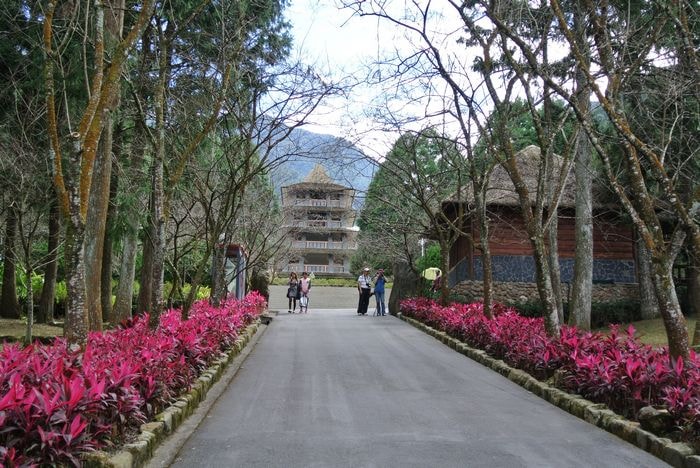 nEO_IMG_DSC_2795.jpg