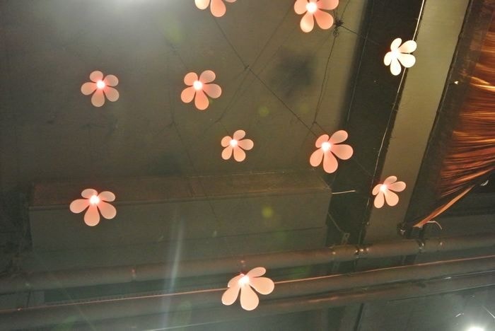 nEO_IMG_DSC_2851.jpg